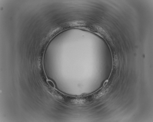 X0000076270255200610191747