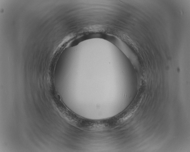 X0000076270256200610191747