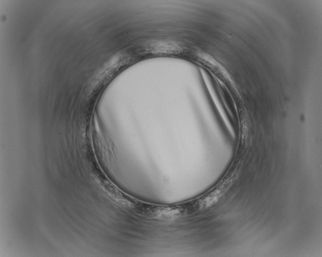 X0000076270257200610191747