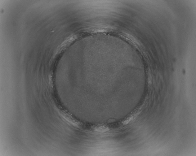 X0000076270258200610191747