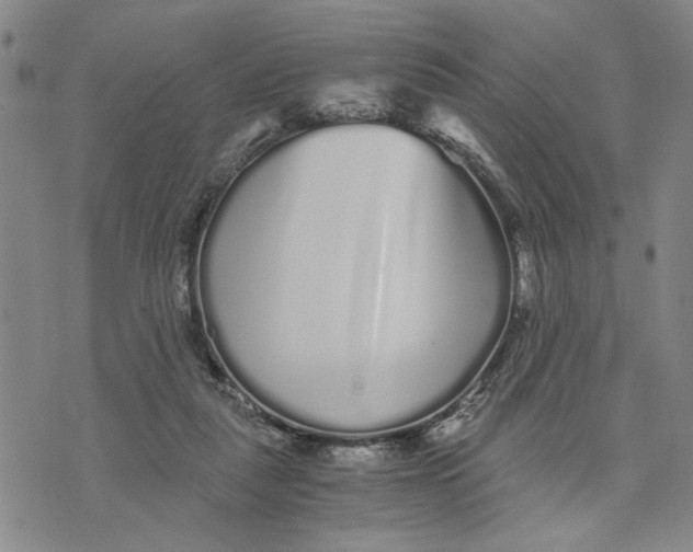 X0000076270259200610191747