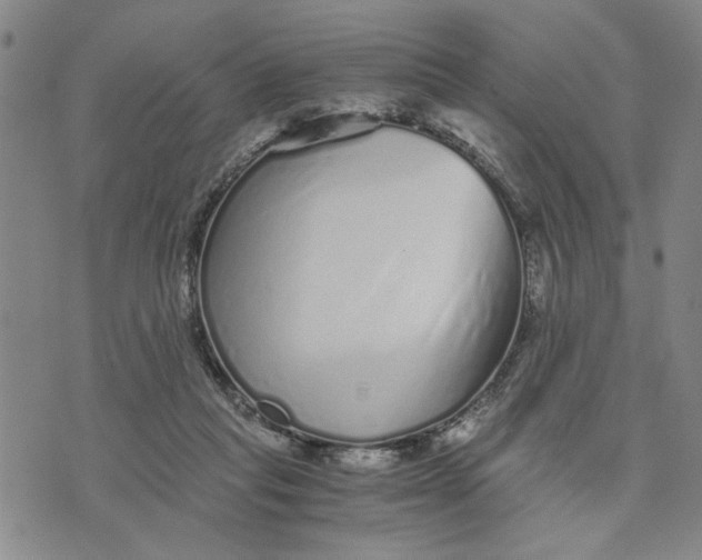 X0000076270261200610191747