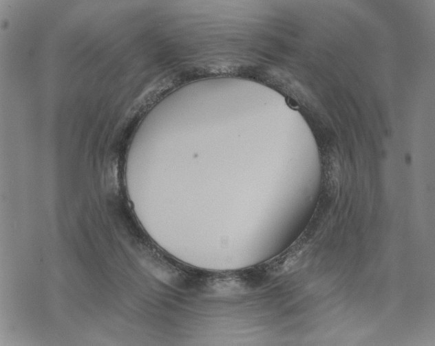 X0000076270262200610191747