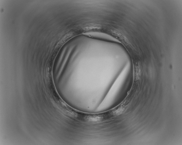 X0000076270263200610191747