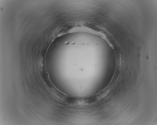 X0000076270264200610191747