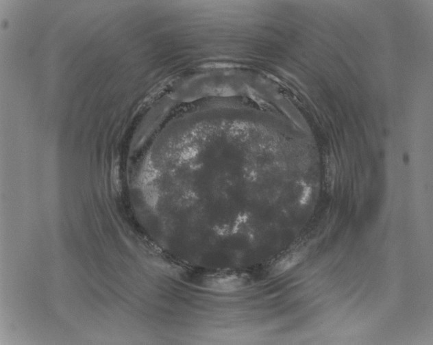 X0000076270267200610191747