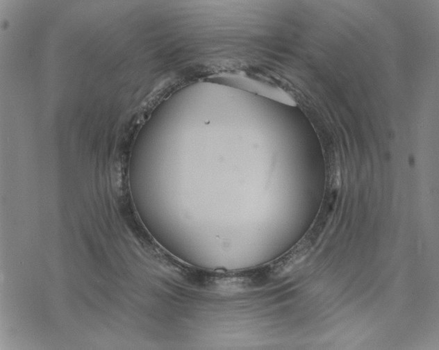 X0000076270268200610191747