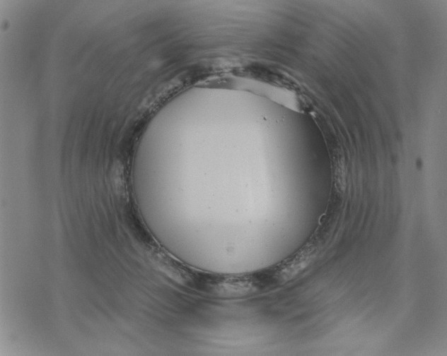 X0000076270270200610191747