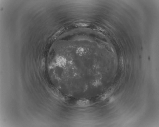 X0000076270271200610191747