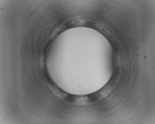 X0000076270274200610191747