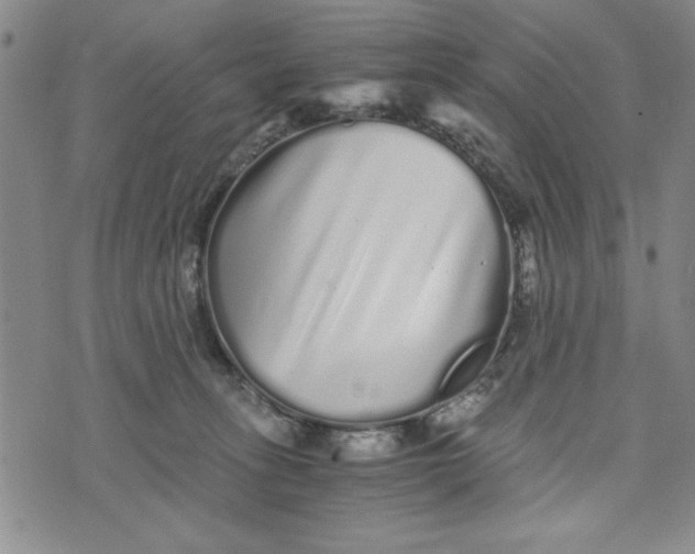 X0000076270275200610191747