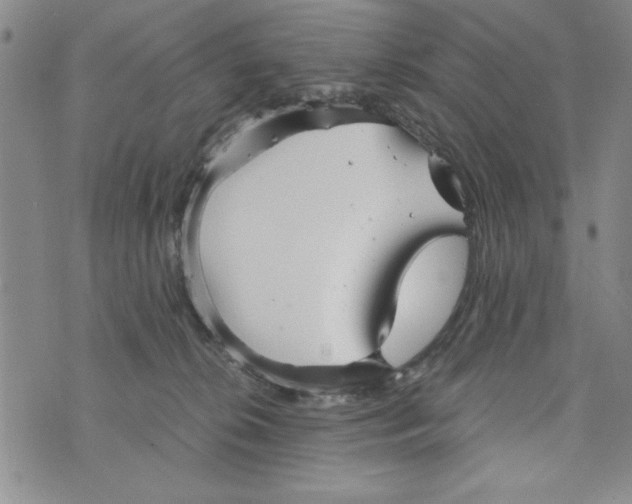 X0000076270276200610191747