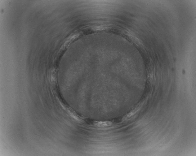 X0000076270277200610191747