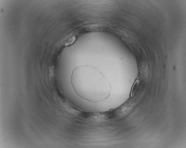 X0000076270278200610191747