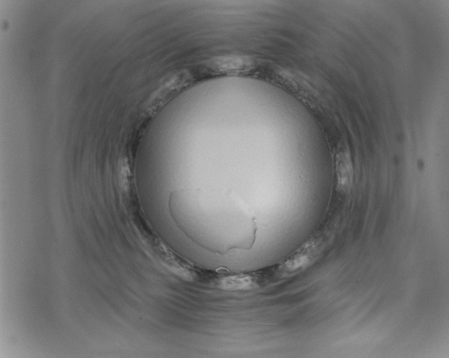 X0000076270279200610191747