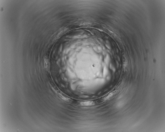 X0000076270281200610191747