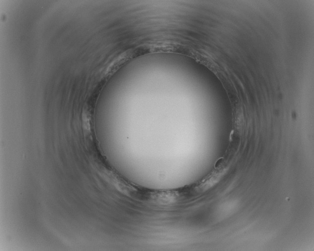 X0000076270282200610191747