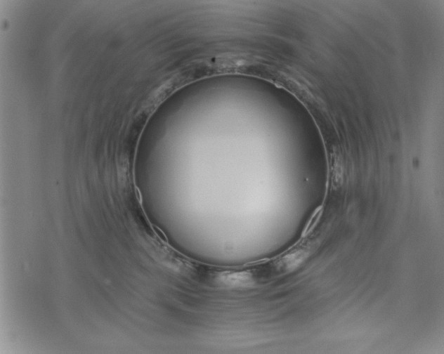 X0000076270283200610191747