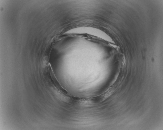 X0000076270284200610191747