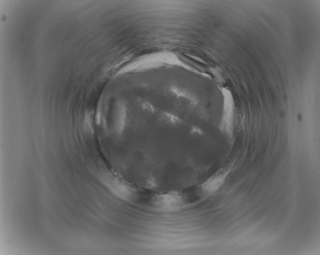 X0000076270286200610191747