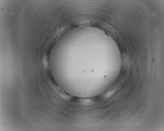 X0000076270287200610191747