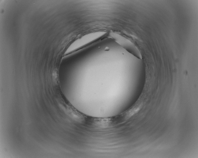 X0000076270288200610191747