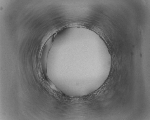 X0000076270289200610191746