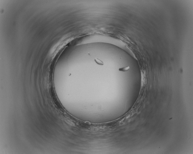 X0000076270291200610191746