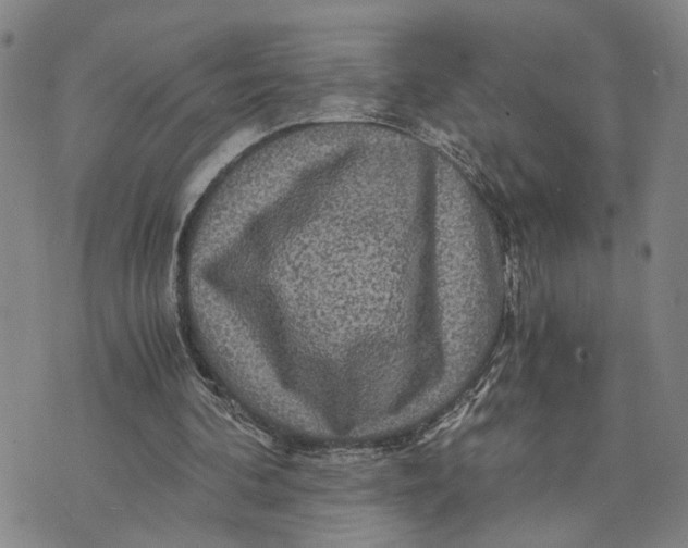 X0000076270292200610191746