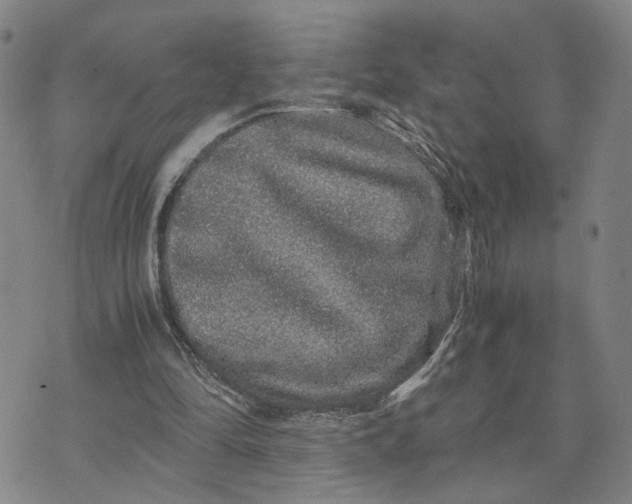 X0000076270294200610191746