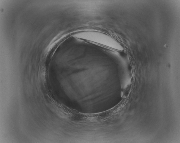 X0000076270295200610191746