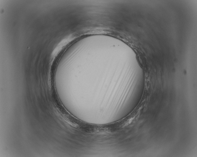 X0000076270296200610191746