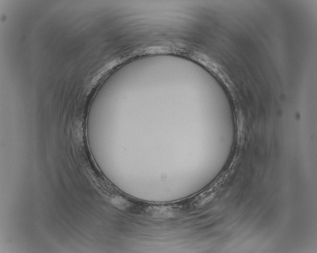 X0000076270297200610191746