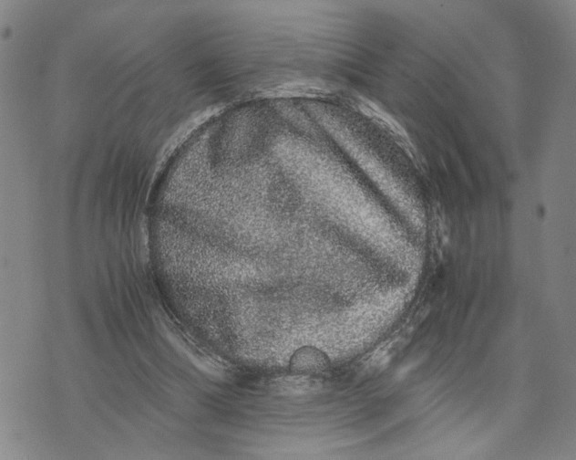 X0000076270298200610191746