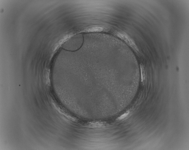 X0000076270300200610191746