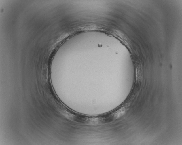 X0000076270301200610191746