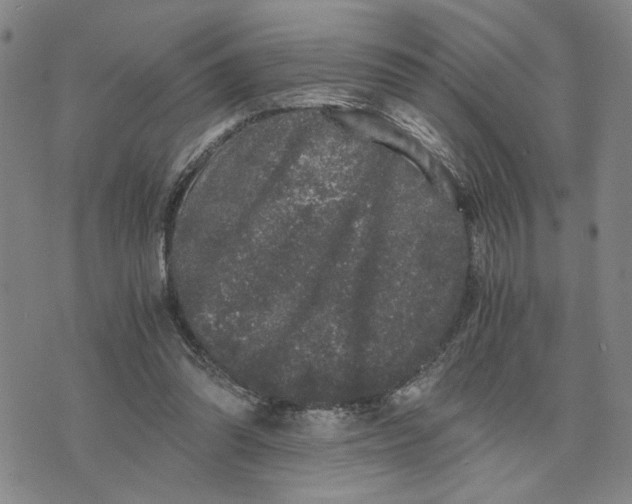 X0000076270302200610191746