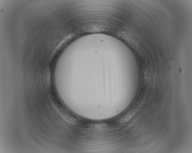 X0000076270304200610191746