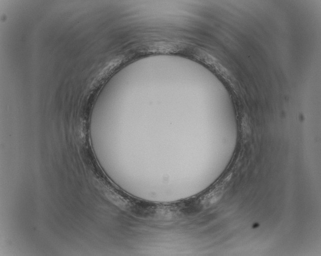 X0000076270305200610191746