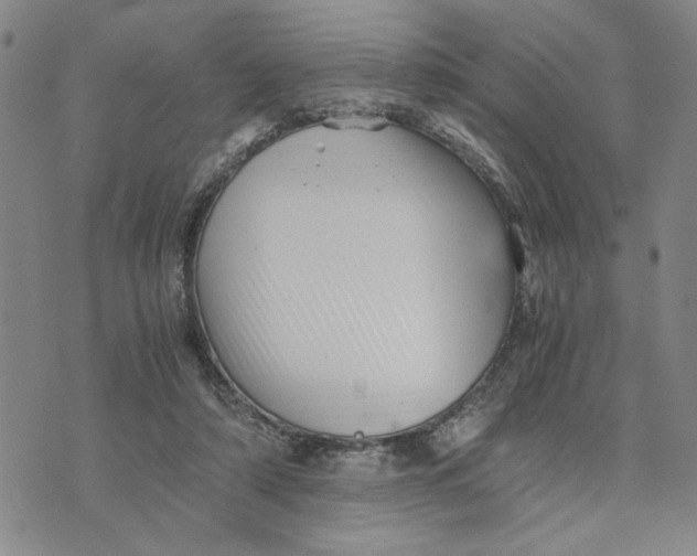 X0000076270306200610191746