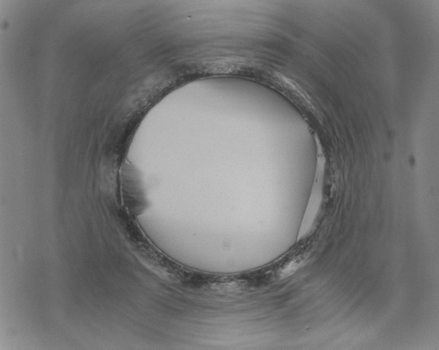 X0000076270307200610191746