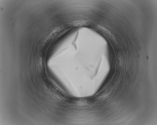 X0000076270308200610191746