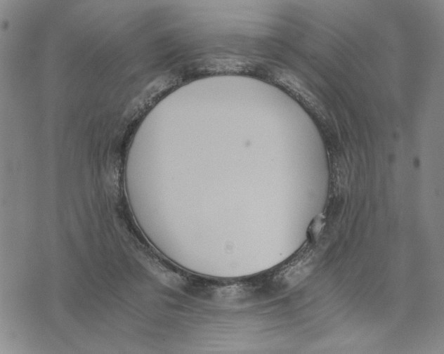 X0000076270309200610191746