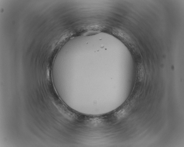 X0000076270310200610191746