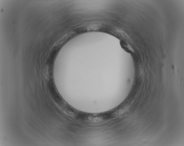 X0000076270311200610191746