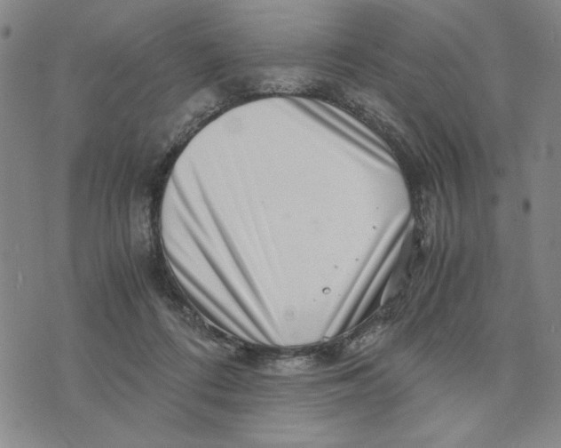 X0000076270312200610191746