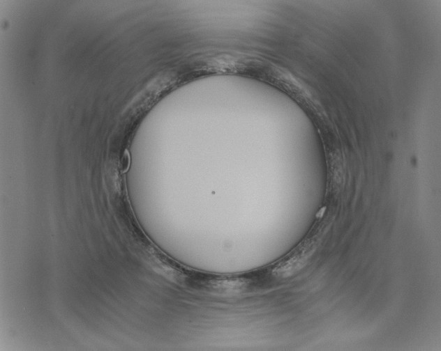 X0000076270313200610191746