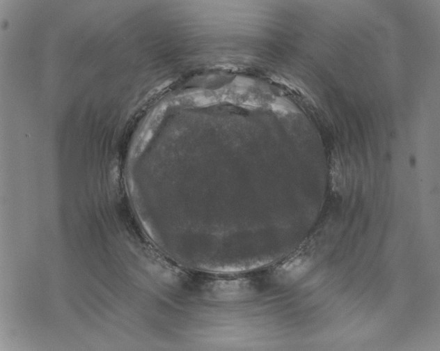 X0000076270314200610191746