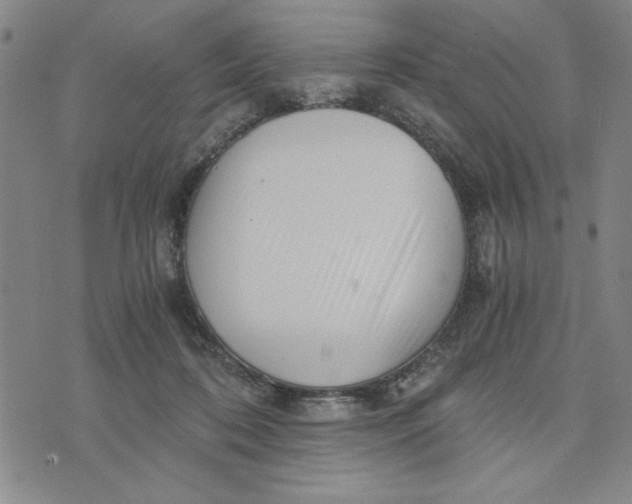 X0000076270316200610191746