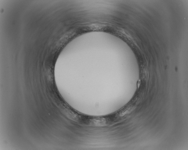 X0000076270317200610191746